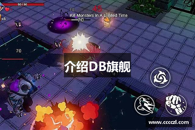 介绍DB旗舰
